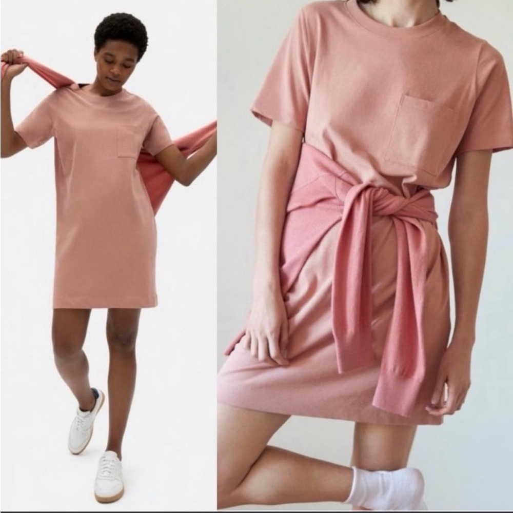 Everlane Blush Pink Mini Dress